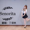 senorita(正式版）专辑