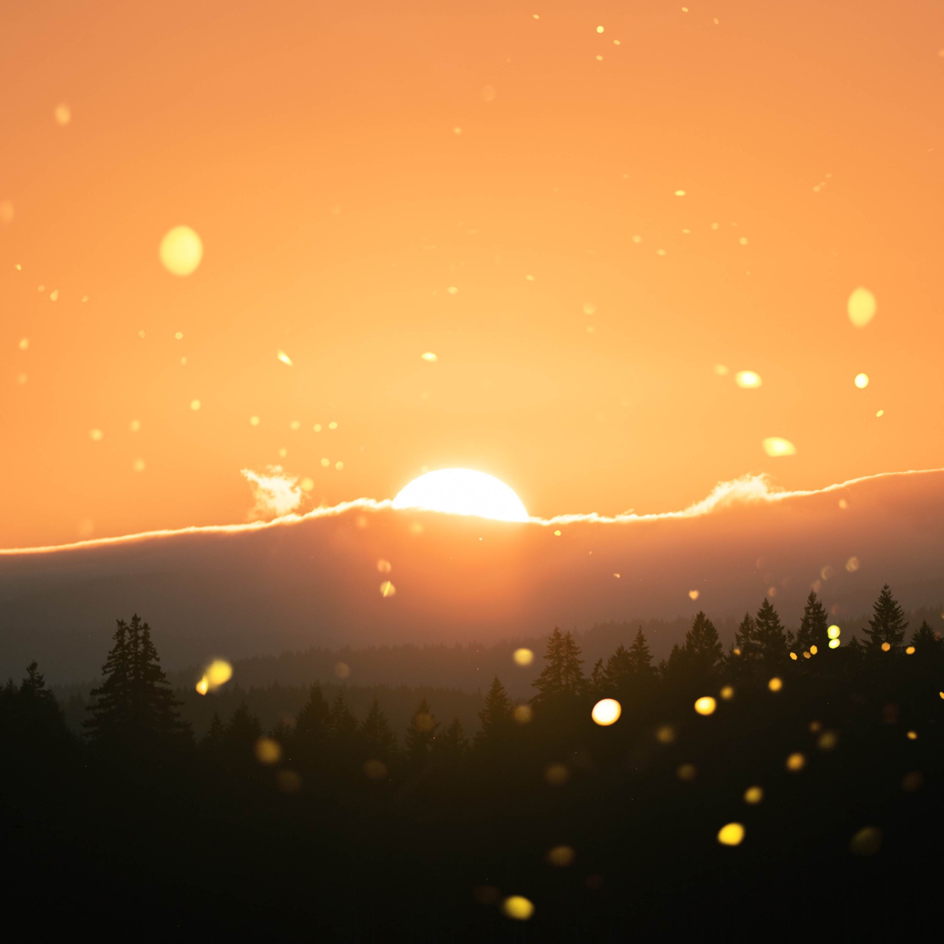 Passing By