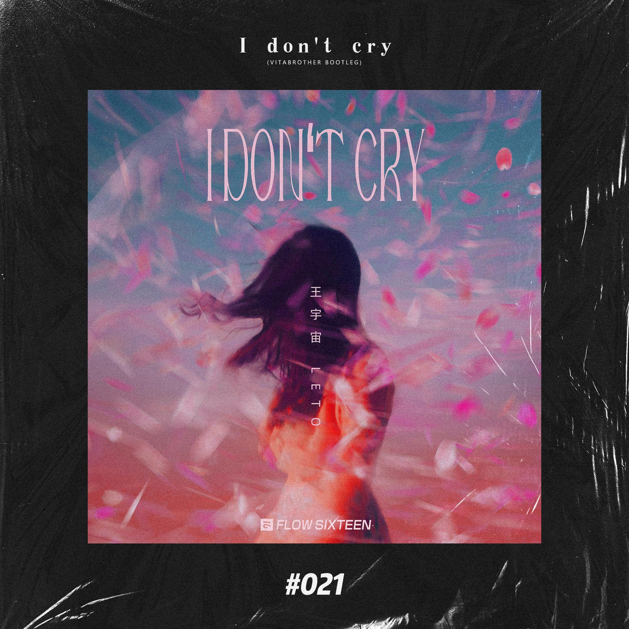 王宇宙Leto - I don't cry (VitaBrother Remix)