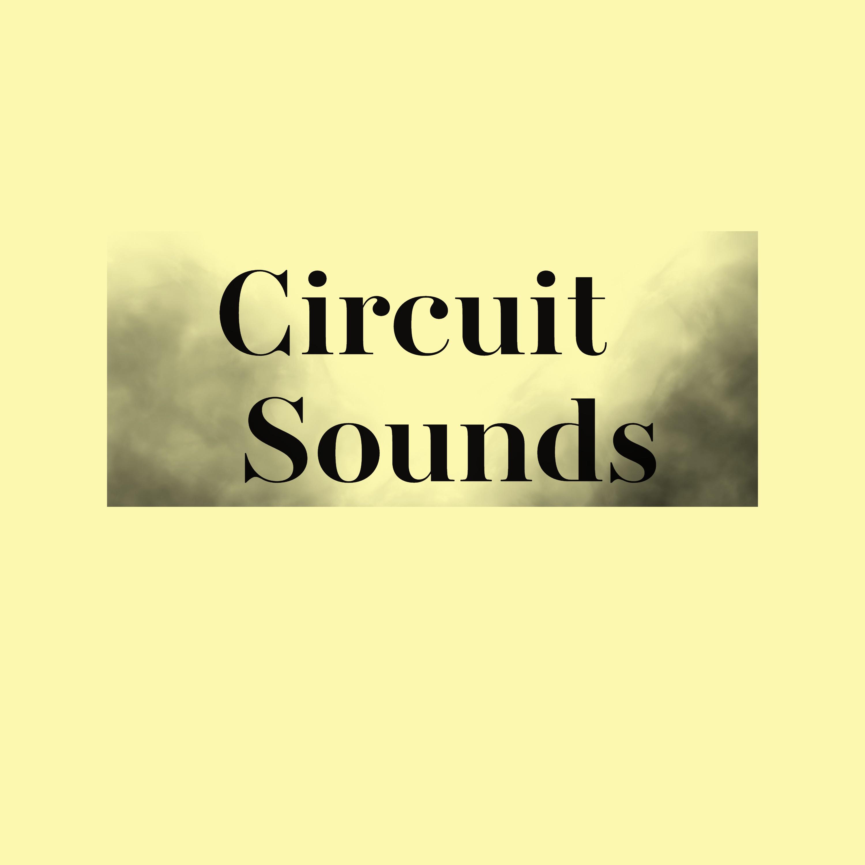 Circuit Sounds - Lazy Beat