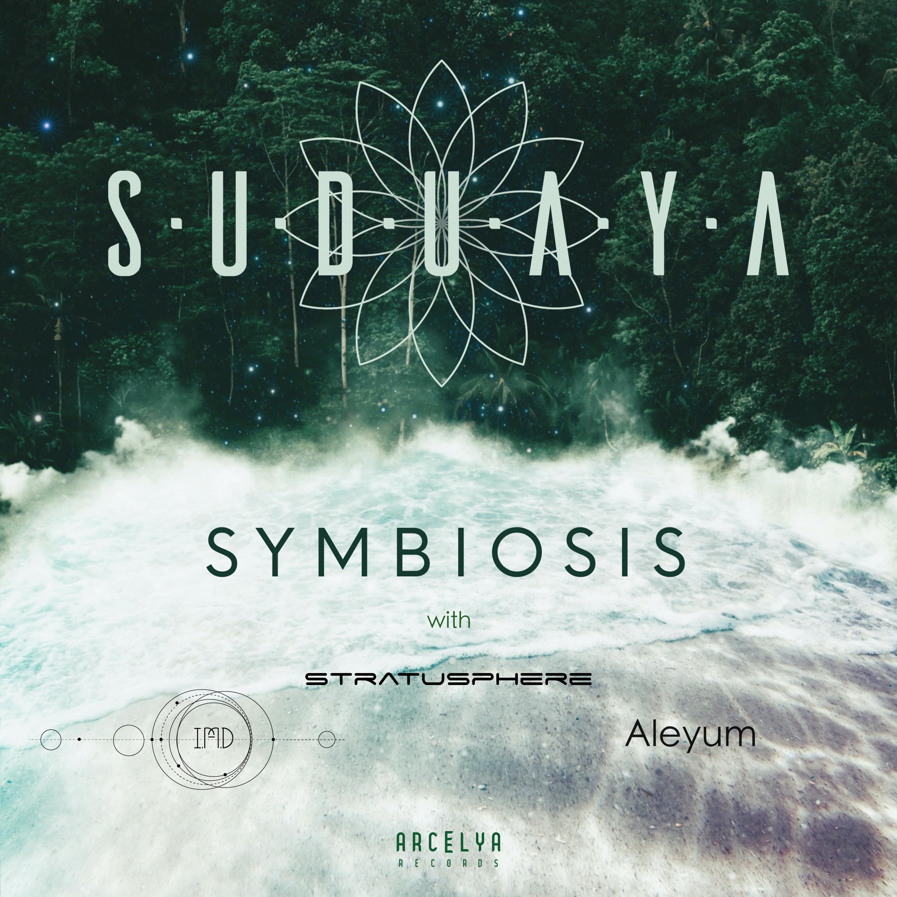 Suduaya - Brise de Vie (Original Mix)
