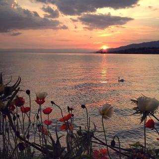 爱尔兰都柏林的夕阳