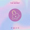 The Secret Cover.