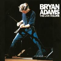 House Arrest - Bryan Adams (unofficial Instrumental)