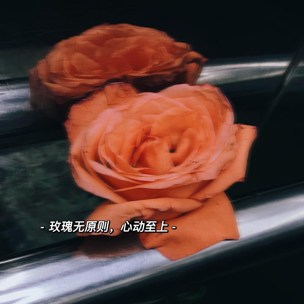♡ ‣ 在宇宙里恰好浪漫的相遇 | 在线播放 | 网易云音乐