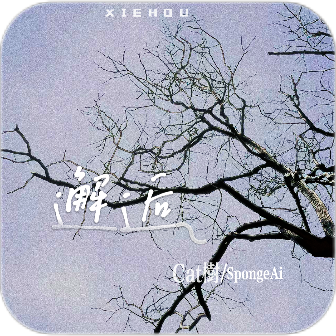 邂逅专辑