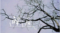 邂逅专辑