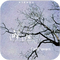 邂逅专辑