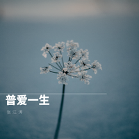 雨花石（男嘉宾慢嗨版）