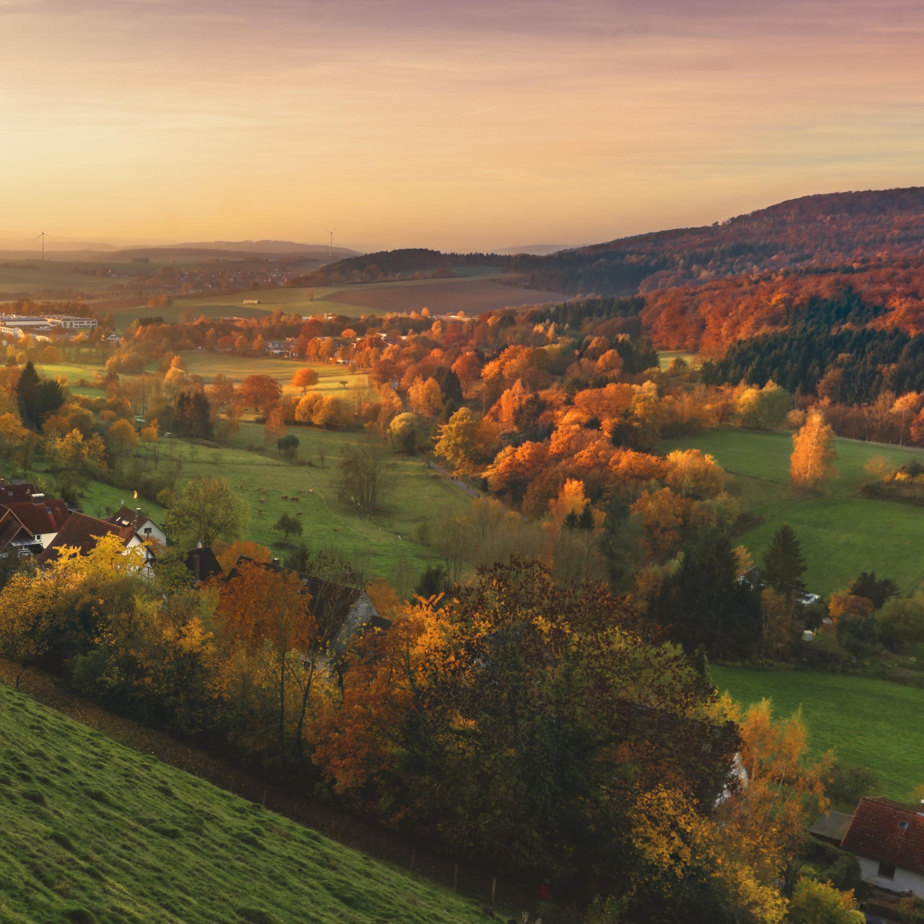 Sounds Of The Countryside