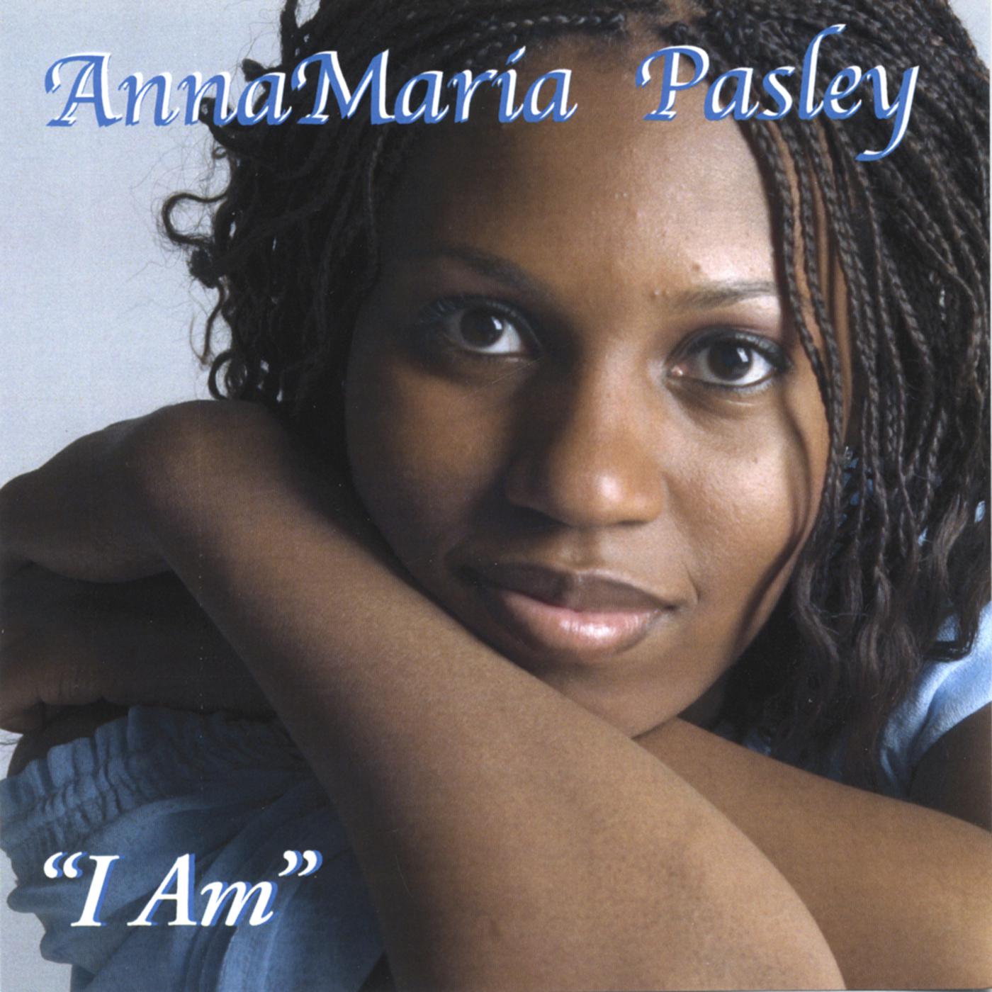 Take the Name - AnnaMaria Pasley - 单曲 - 网易云音乐