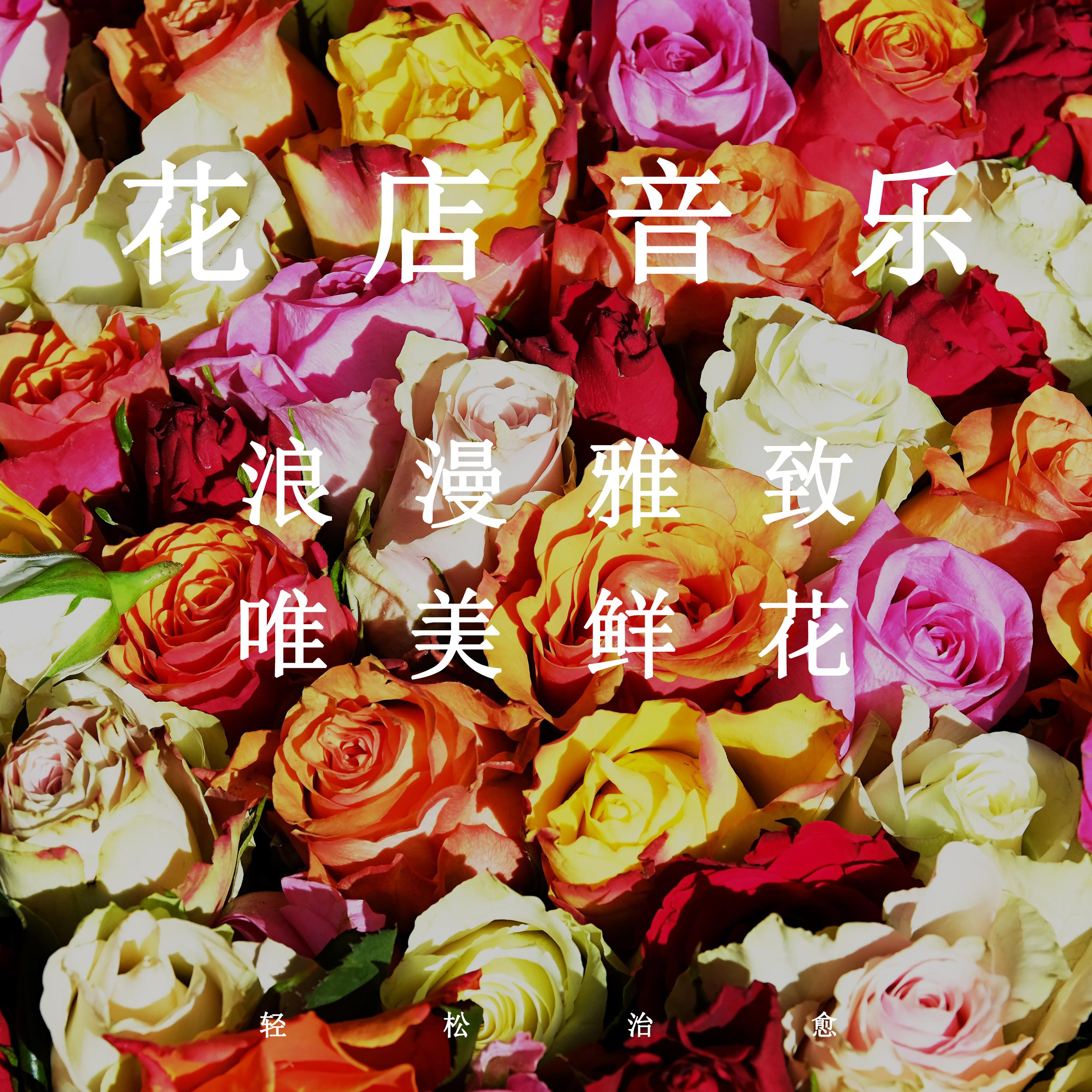 夏小桃歌曲封面