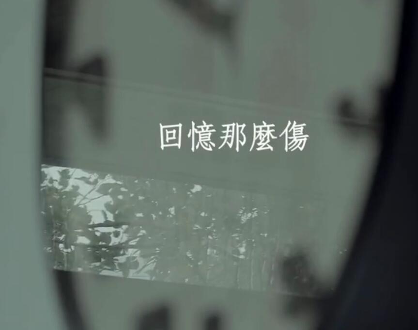 回忆那么伤-(电视剧《花间提壶方大厨》片尾曲)