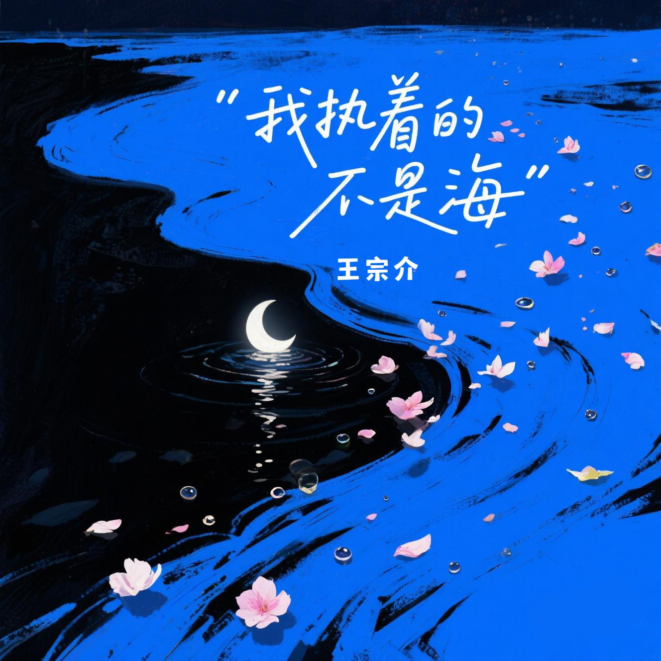 我执着的不是海