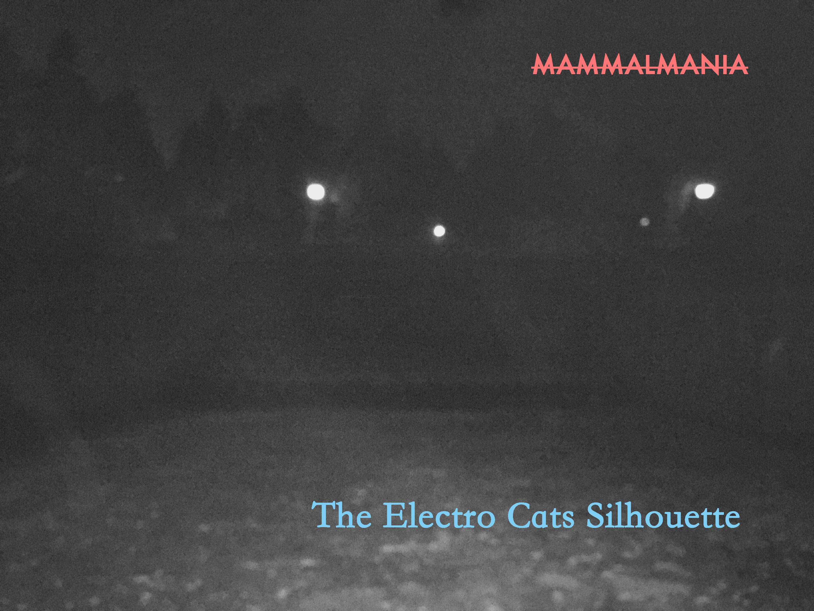 The Electro Cat's Silhouette专辑