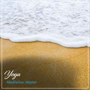 12 Tracks Perfect for Yoga & Meditation Masters