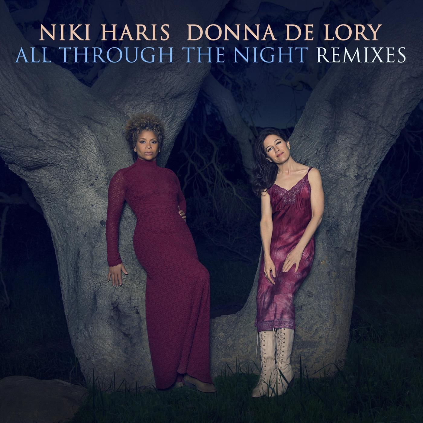 All Through the Night Remixes