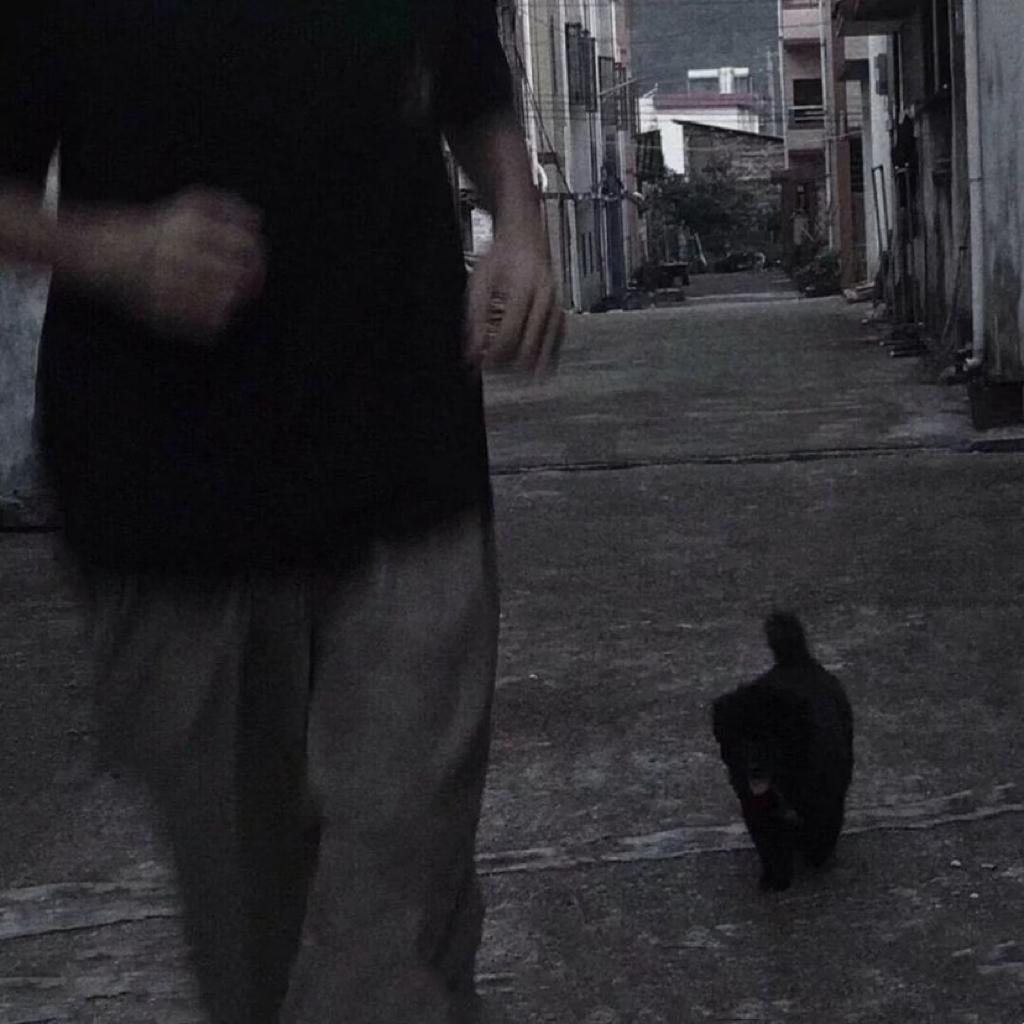 〔翻唱〕丨等我热情都退散