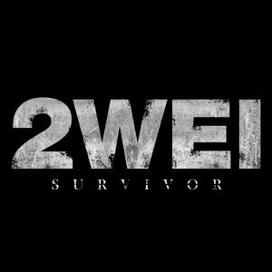 Survivor【Daniel Powter 于文文 伴奏】 （降1半音）