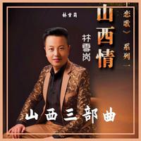 二胡独奏《双脚踏上幸福路》