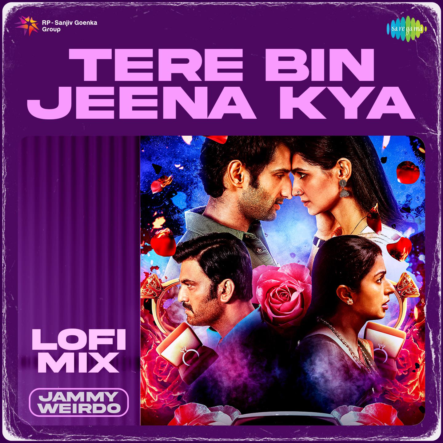 Jammy Weirdo - Tere Bin Jeena Kya Lofi Mix