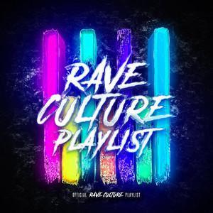 Rave Culture - 电音节蹦迪必备 | 在线播放 | 网易云音乐