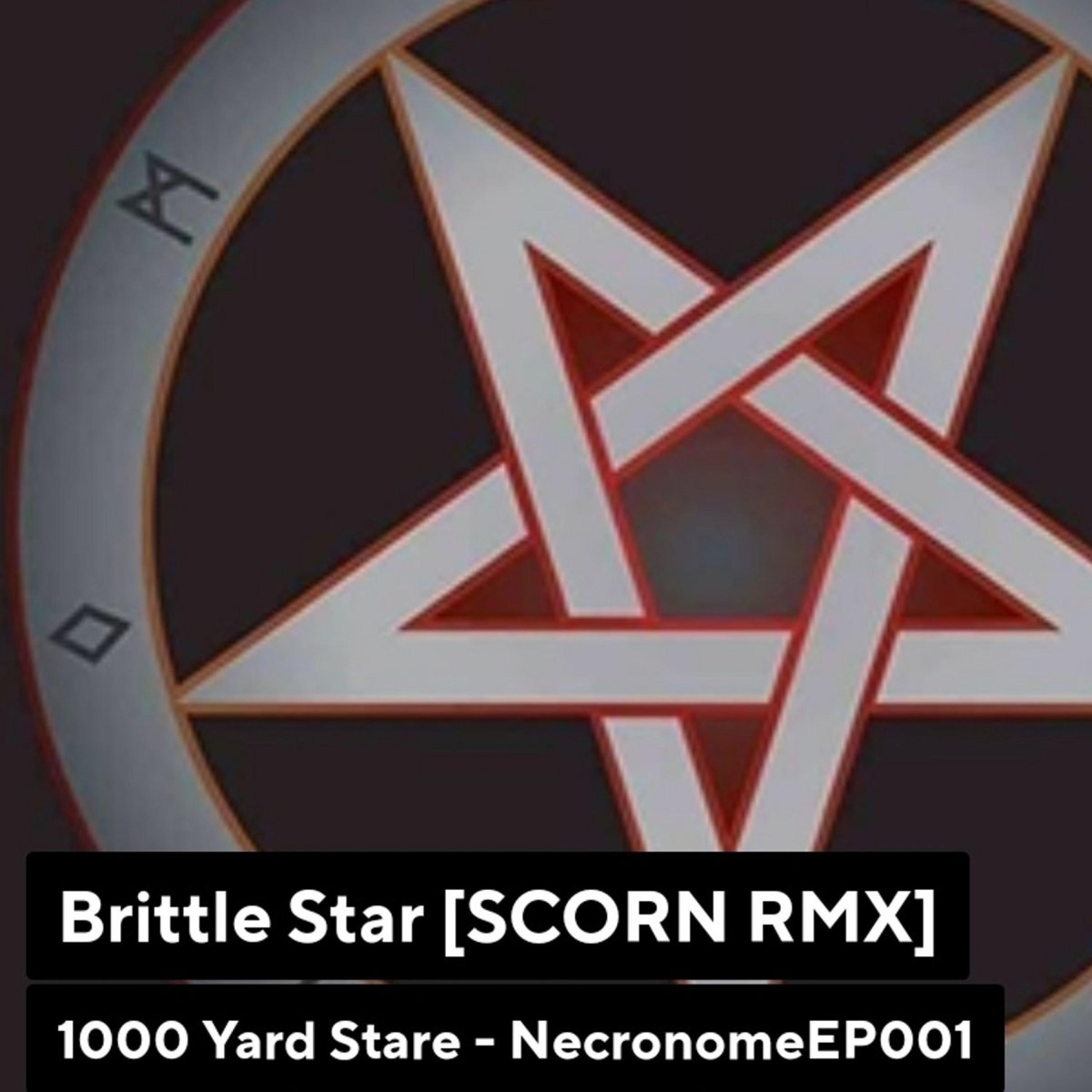 Brittle Star (Mick Harris & SCORN Remix) (Mick Harris of SCORN Remix)