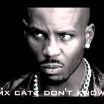 Catz Dont Know (Kjuus G-House Edit)专辑