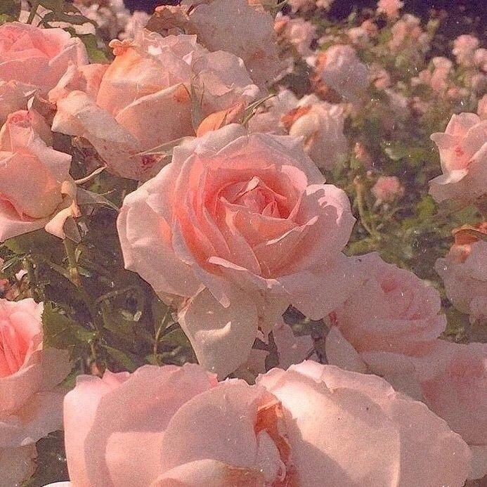 温柔 | 表白歌单♡关于喜欢你这件事