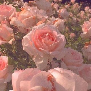 温柔 | 表白歌单♡关于喜欢你这件事