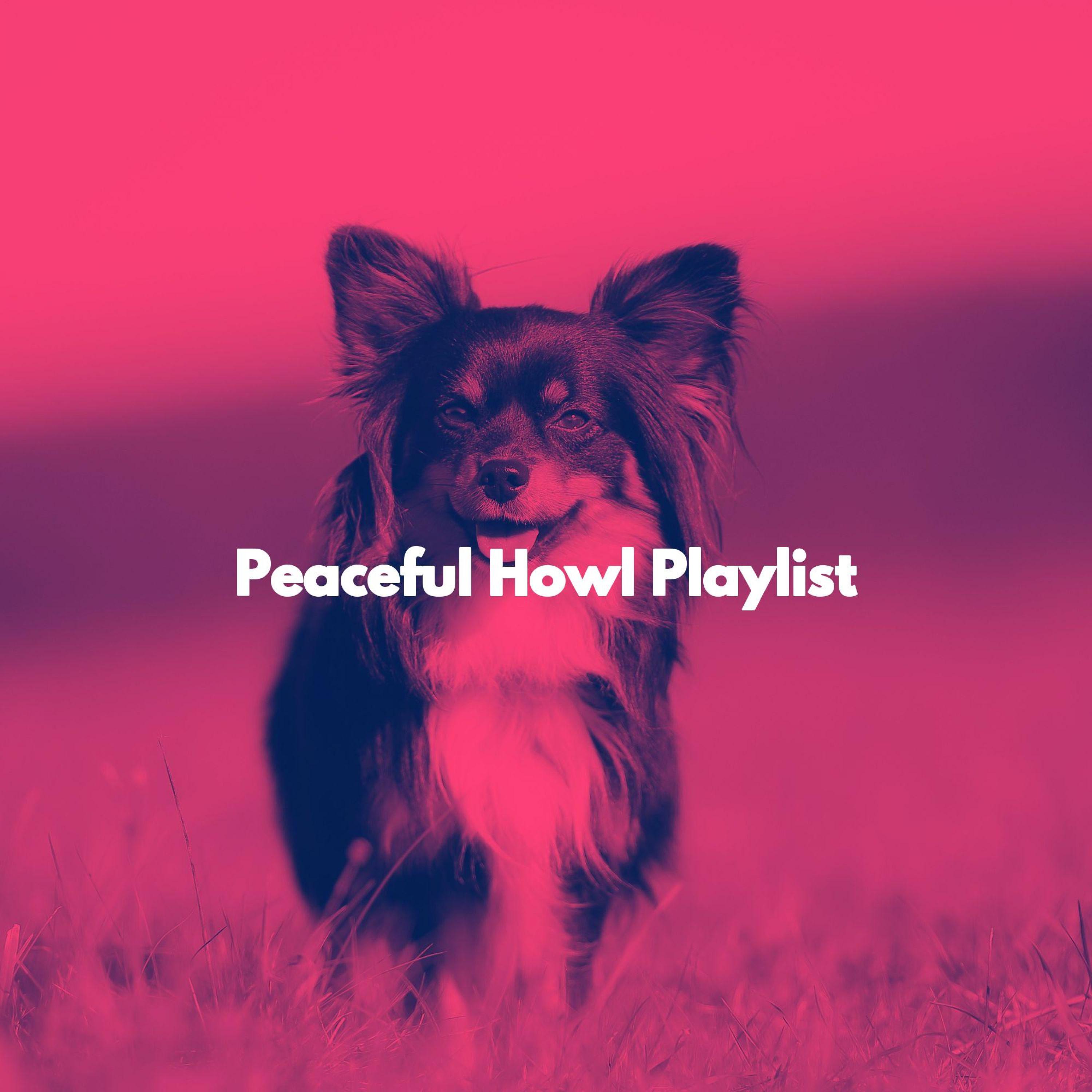 Relax My Dog Music - Spacious Backdrops for Stylish Doggy