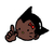 ZQS