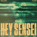 Hey Sensei(AloviL Remix)