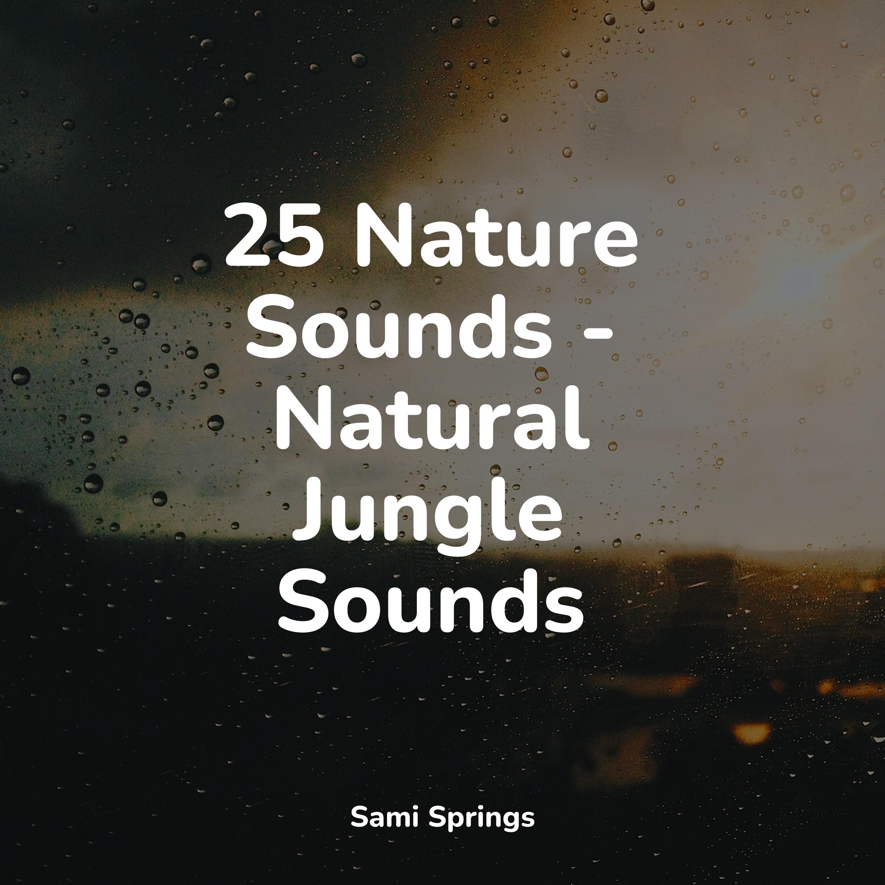 Calming Sounds - Wind, Strong, Forest, Light Debris, Leaves, Rain