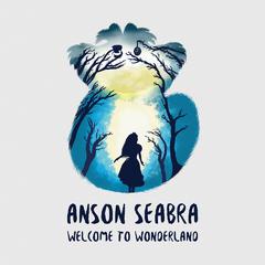 Anson Seabra《Welcome to Wonderland吉他谱》_旋律优雅如梦