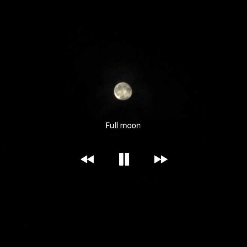 如何不再让我去想你（翻自 井迪儿）