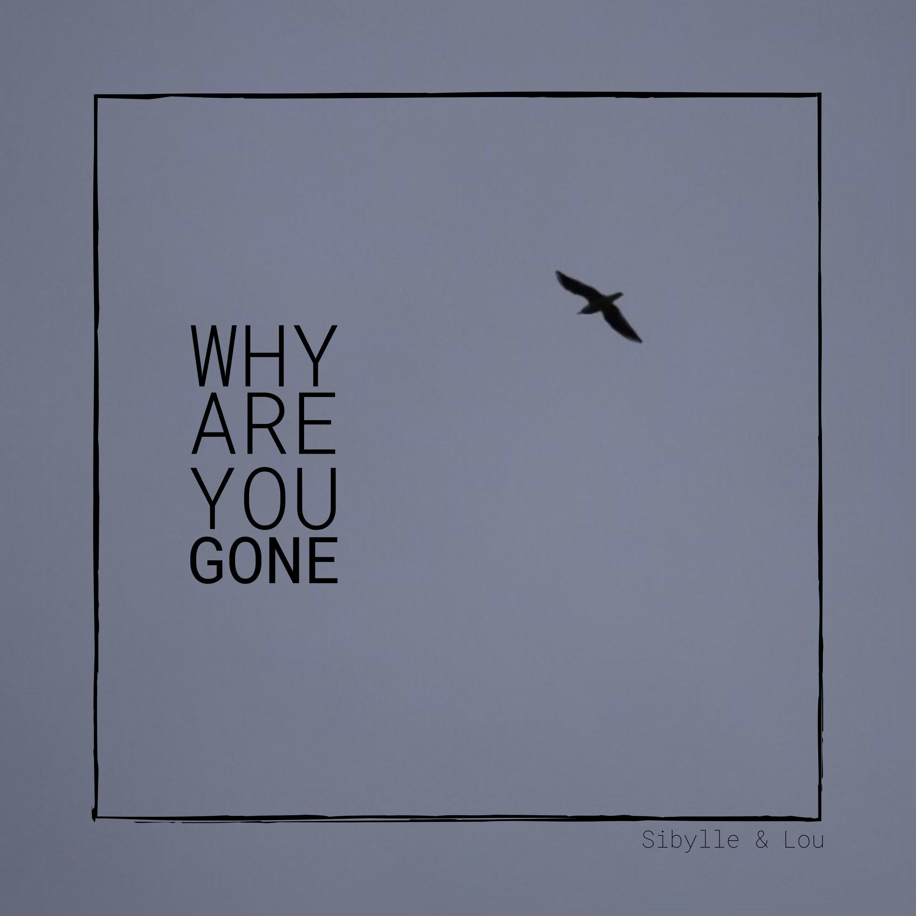 Why Are You Gone (feat. Lou Kerdiles)