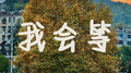 我会等专辑