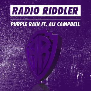Radio Riddler feat Ali Campbell - Purple Rain (Z karaoke) 带和声伴奏