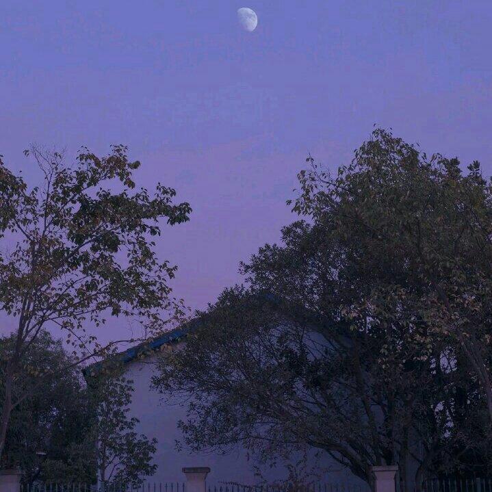 2021最火歌曲串烧