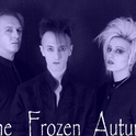 The Frozen Autumn