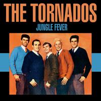 The Tornados - Swinging Beefeater (instrumental)