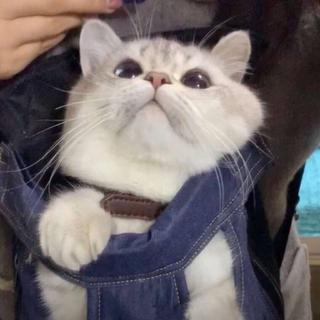 超好听的说唱