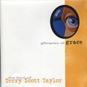 Glimpses Of Grace: The Best Of Terry Scott Taylor专辑