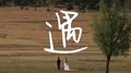 遇专辑
