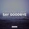 Say Goodbye (Headhunterz Edit)专辑