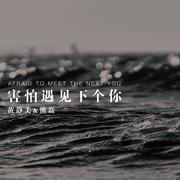 害怕遇见下个你 (伴奏)