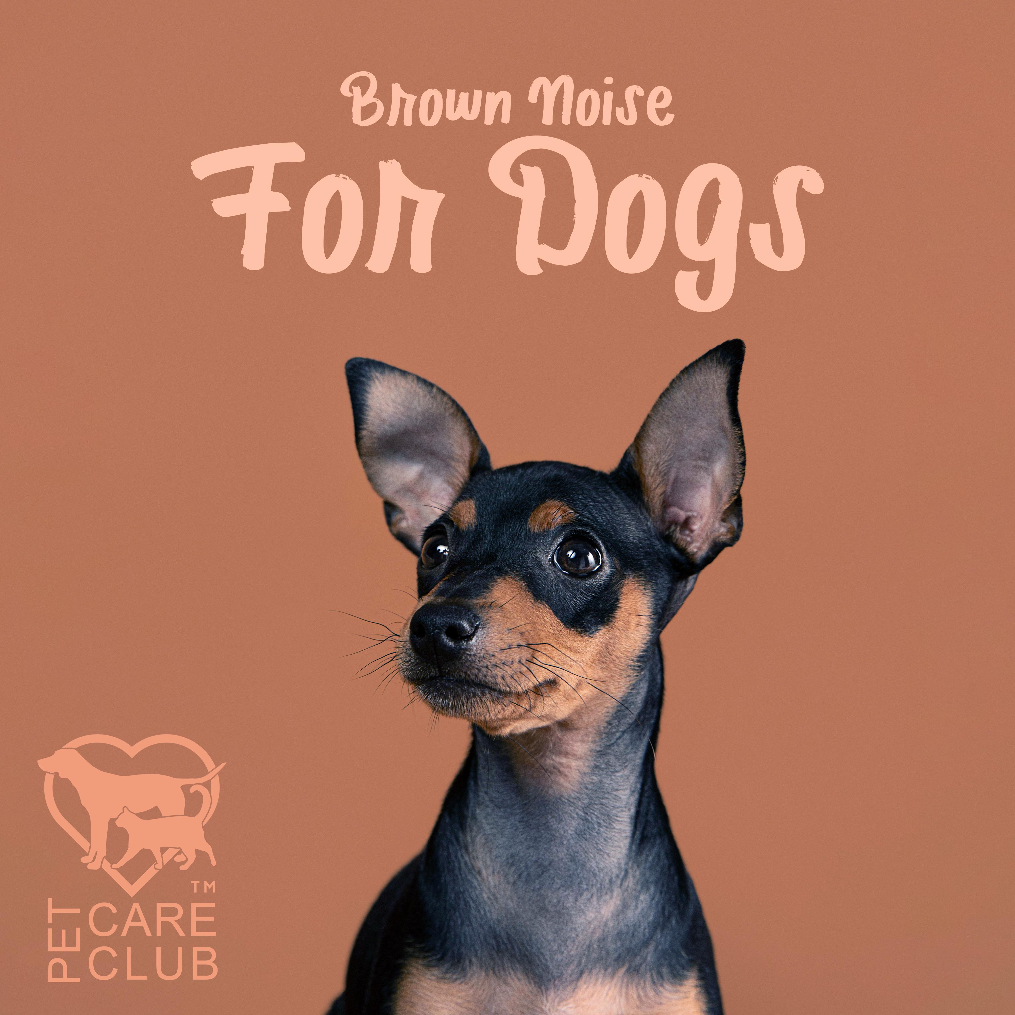 Brown Noise With Rain