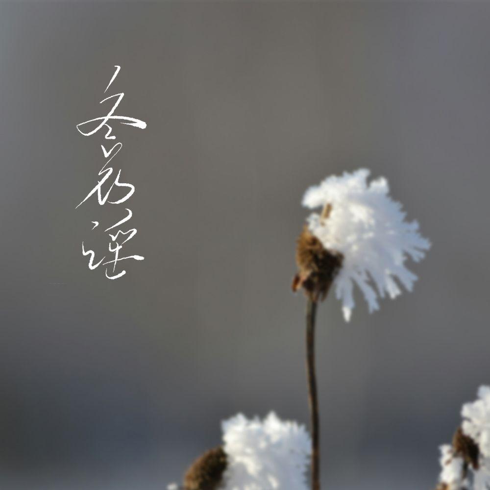 冬花谣