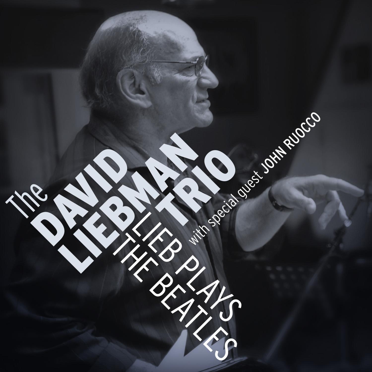 the fool on the hill - david liebman/eric ineke/marius beets